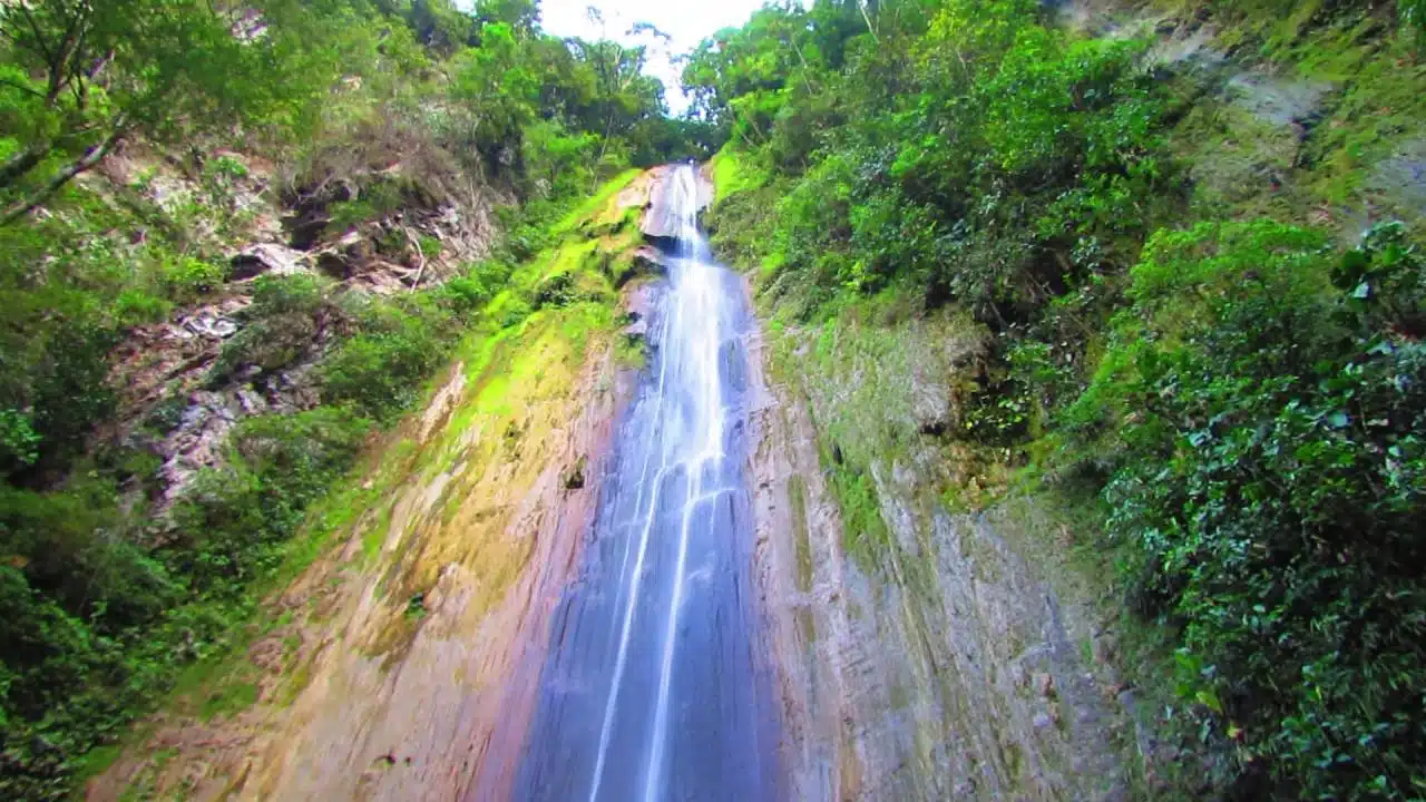 catarata delfin pozuzo