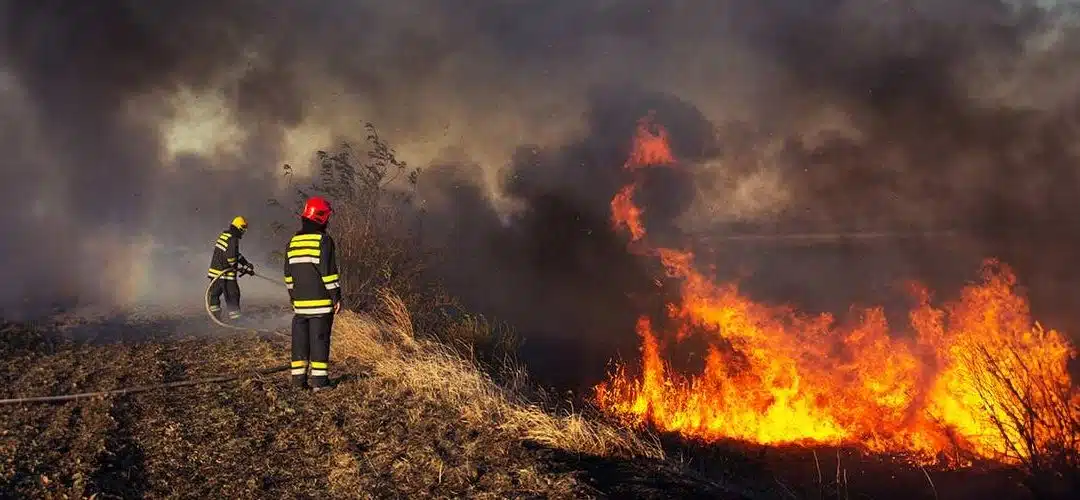 ¿Qué hacer antes, durante y después de un incendio forestal?