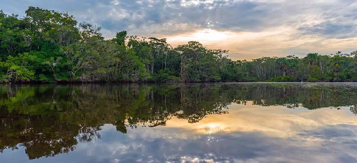 iquitos