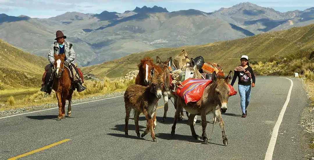 Mejor época para viajar a Huánuco