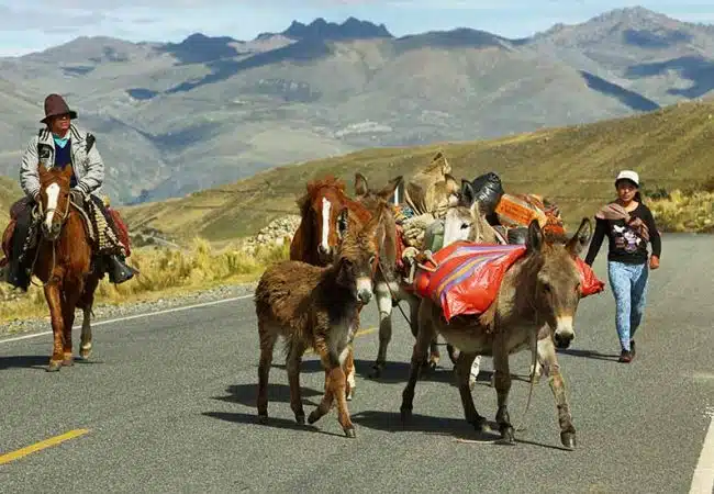 mejor época para viajar a Huanuco