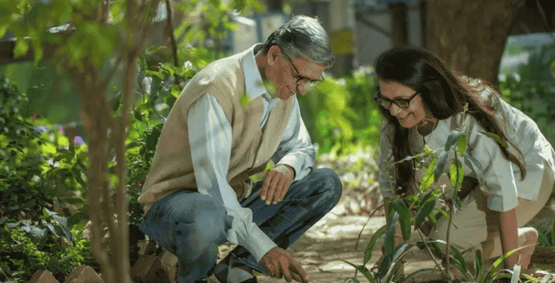 ¿Qué es la reforestación y cómo podemos ayudar?